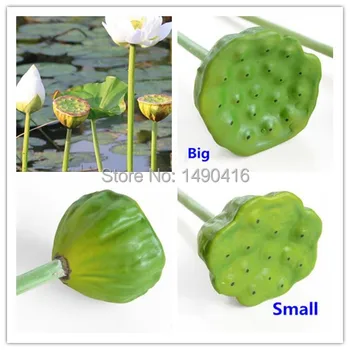 5pcs Mici Artificiale Lotus păstaia de lotus nufar Pentru DIY Grădină Piscină Decor dans de elemente de recuzită