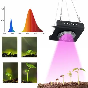 Planta cu Led-uri COB lumina spectru complet 50W lumină plantelor cresc de lumină legume suculente flori de lumina de umplere cu plug AC220V/110V/230V Imagine 0
