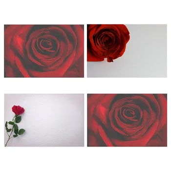 Trandafir Rosu Floare Fotografie Fundal De Fundal Studio Foto Elemente De Recuzită De Vinil, Pânză
