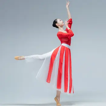 Chineză Hanfu Îmbrăcăminte Antic Chinez De Dans Popular Purta Dans Clasic Practică Haine De Sex Feminin AdultPerformance Costum Imagine 2