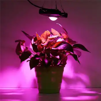 Planta cu Led-uri COB lumina spectru complet 50W lumină plantelor cresc de lumină legume suculente flori de lumina de umplere cu plug AC220V/110V/230V Imagine 2
