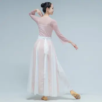 Chineză Hanfu Îmbrăcăminte Antic Chinez De Dans Popular Purta Dans Clasic Practică Haine De Sex Feminin AdultPerformance Costum Imagine 3