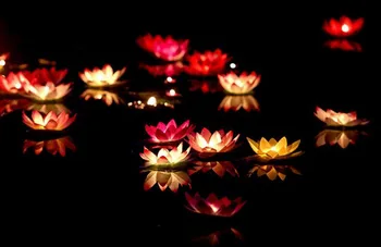 30pcs/lot Valentine Felinare Lumanari de Nunta care Doresc Apă de Apă de Flori Plutitoare Floare de Lotus Lantern Lampa de Ornament Imagine 4