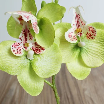 1 pachet MINI Phalaenopsis buchet vaza pentru decor acasă de Crăciun de nunta flori decorative coroane de flori Artificiale flori en-gros Imagine 5